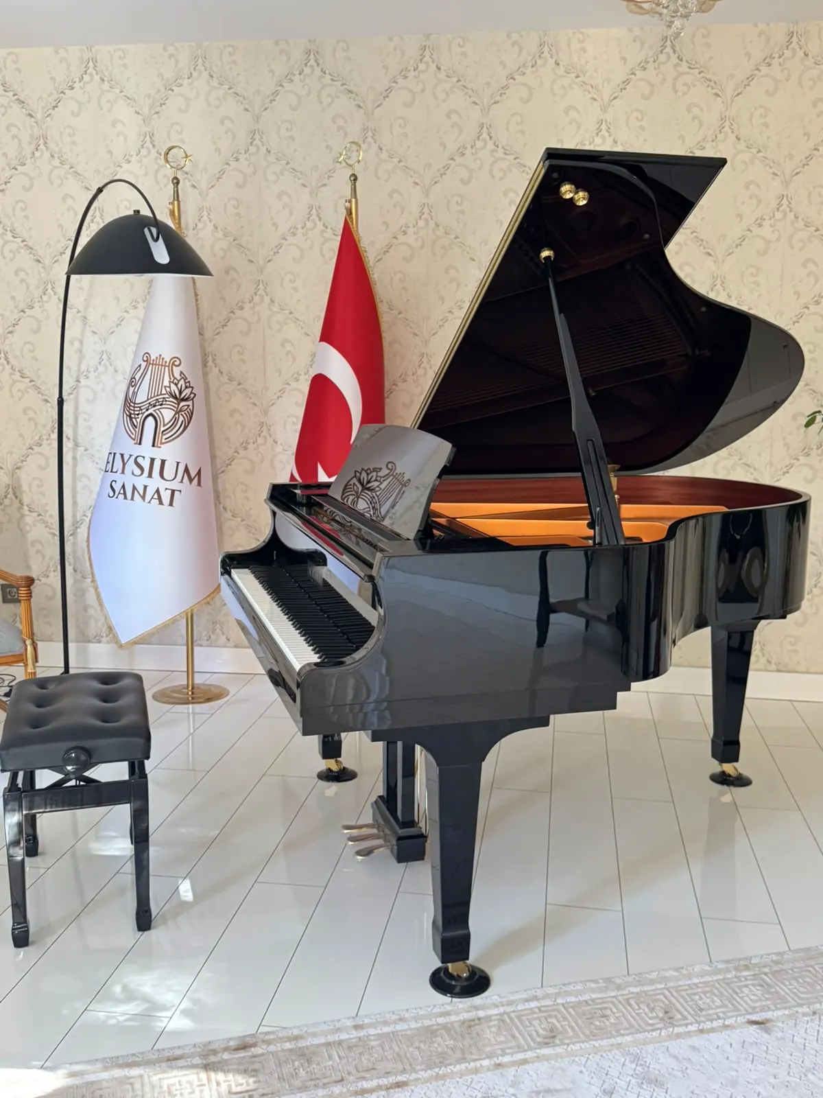 Elysium Sanat flaması eşliğinde kuyruklu piyano